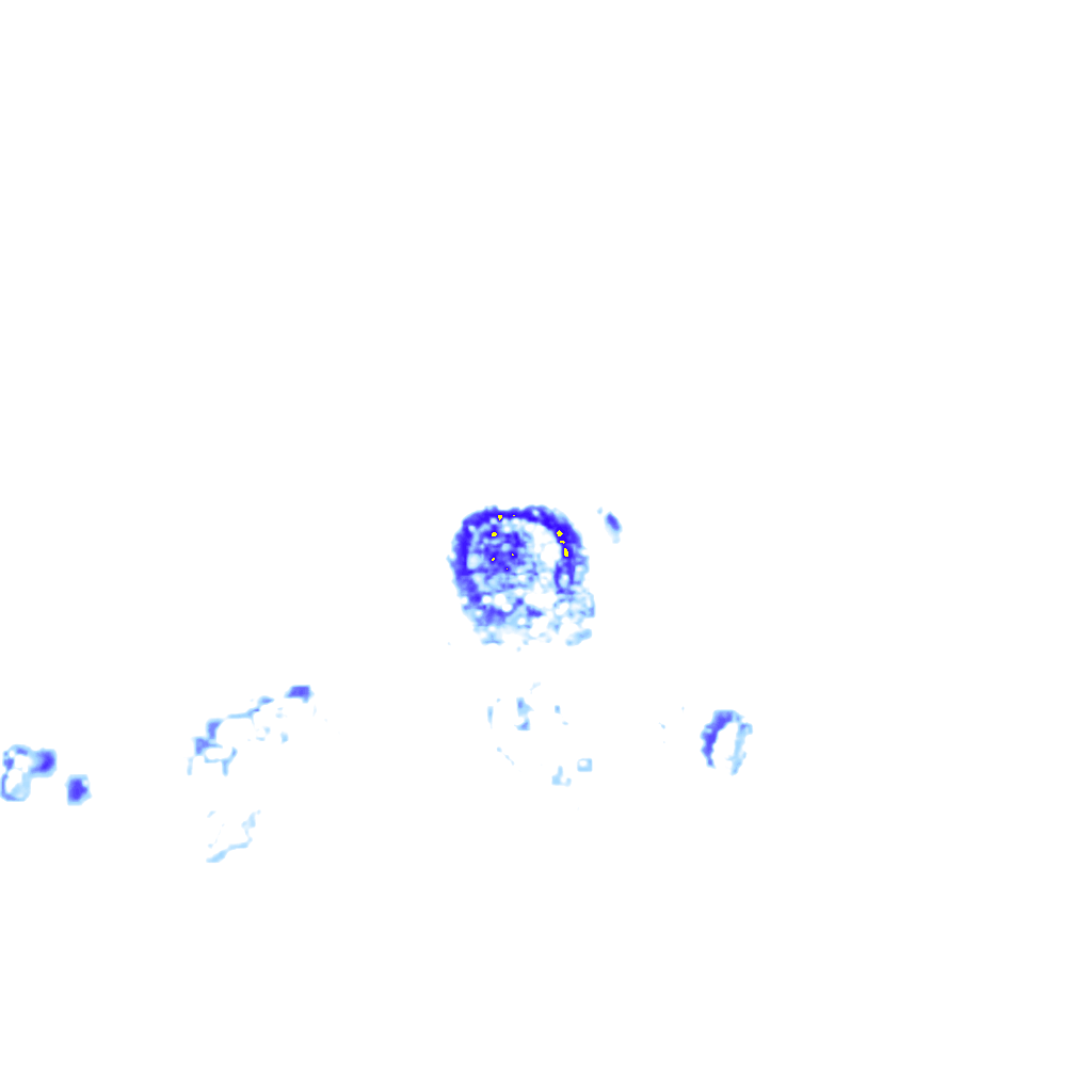rainLayer