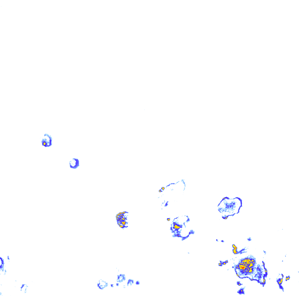 Image Layer