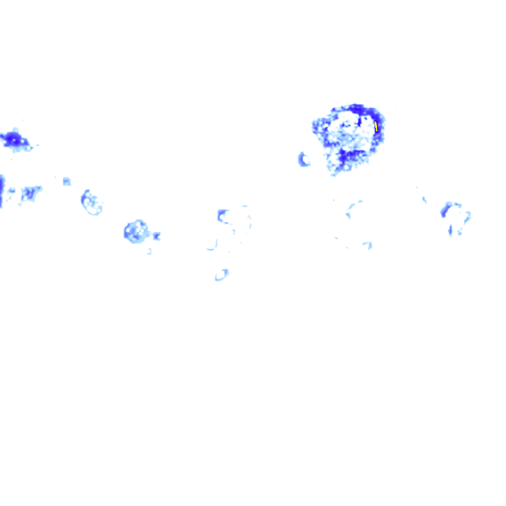 rainLayer