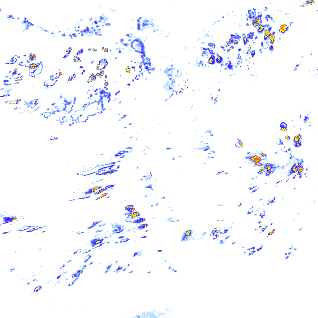 rainLayer
