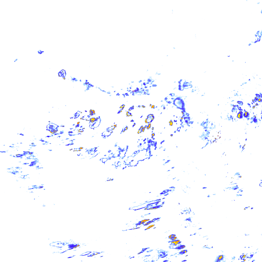 rainLayer
