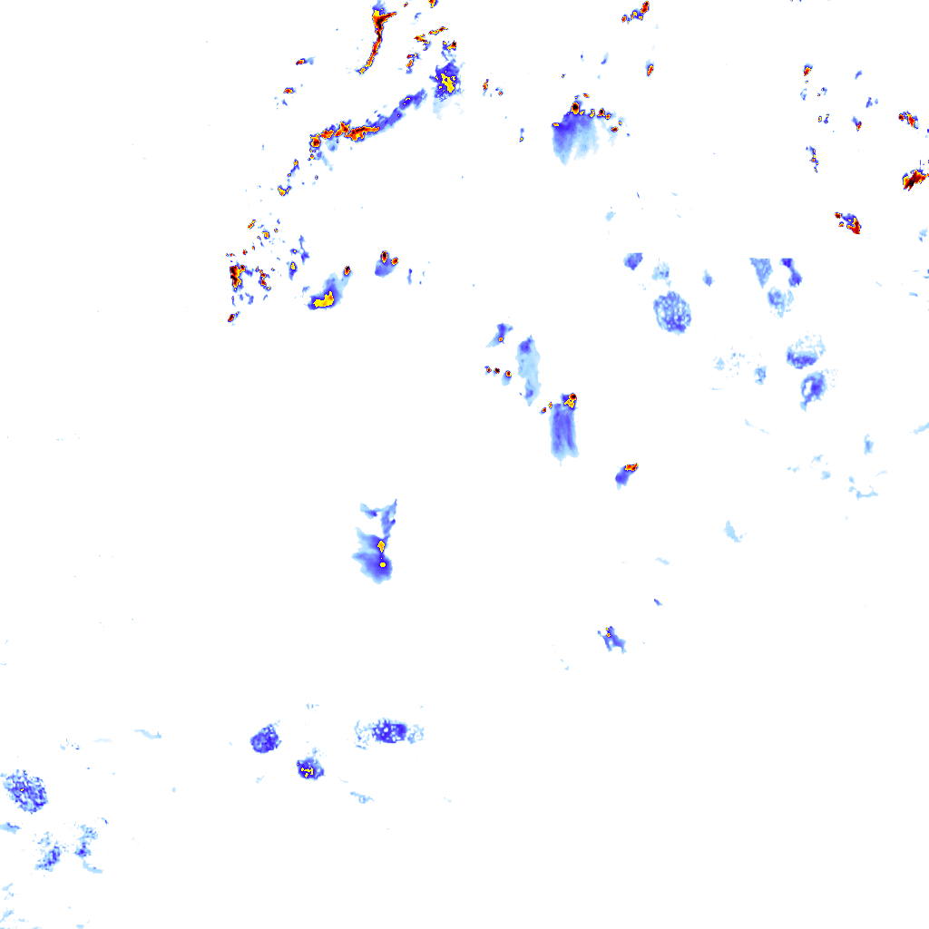 rainLayer