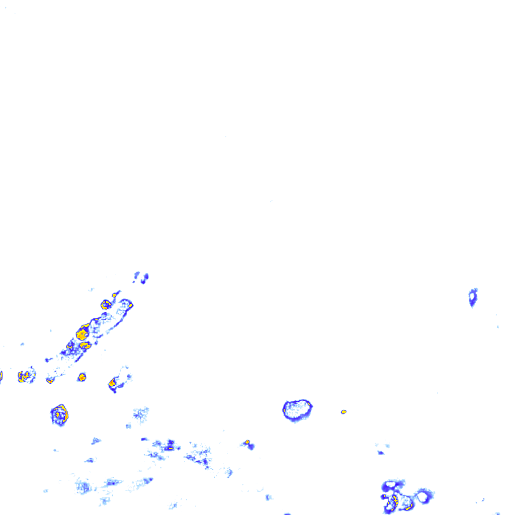 rainLayer