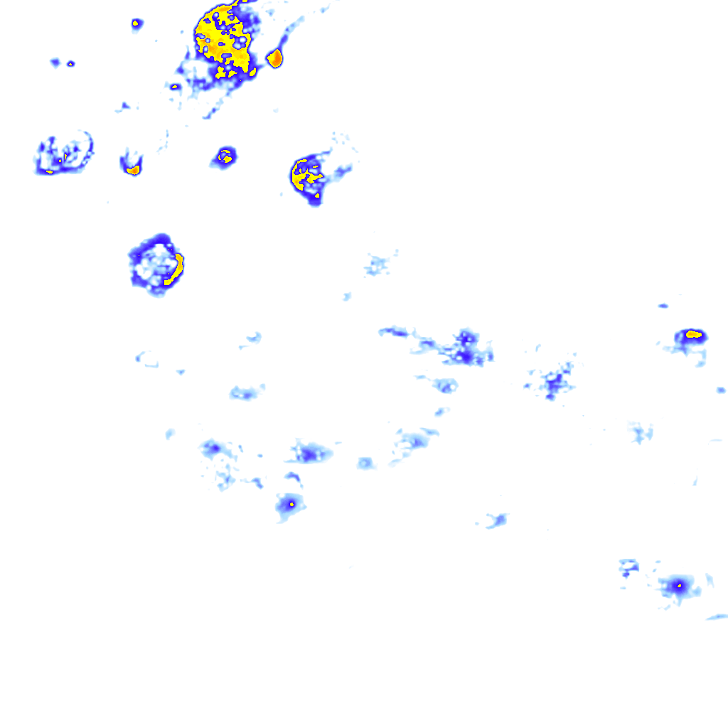 Image Layer