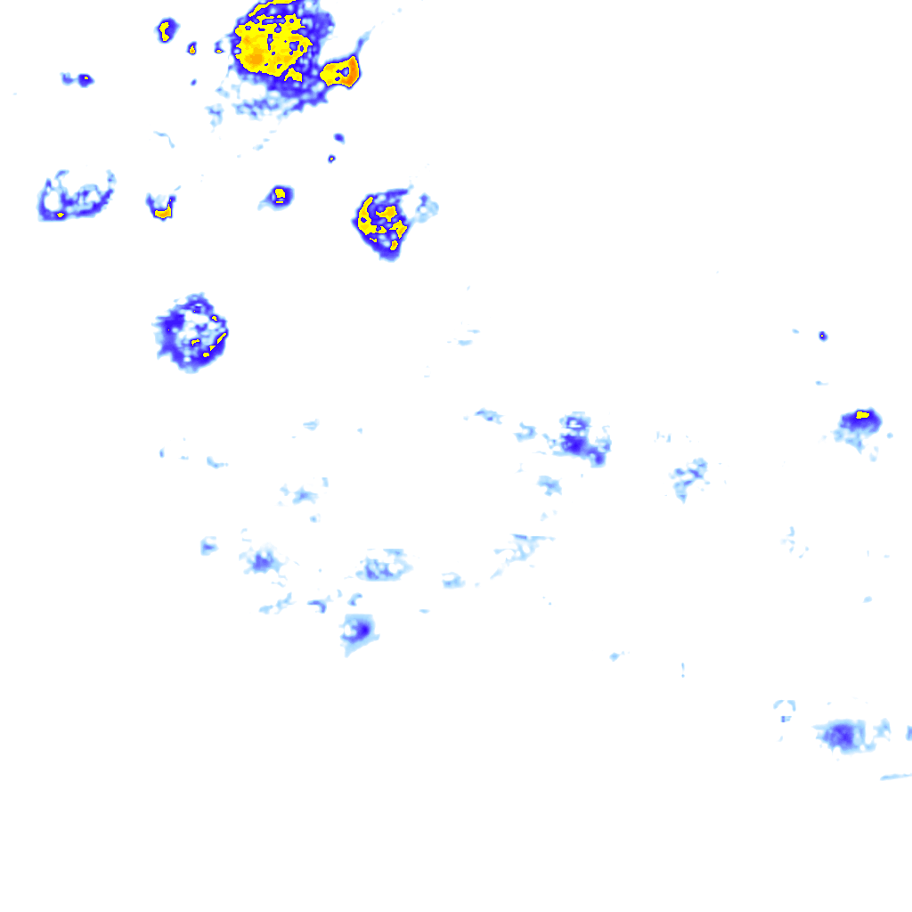 rainLayer