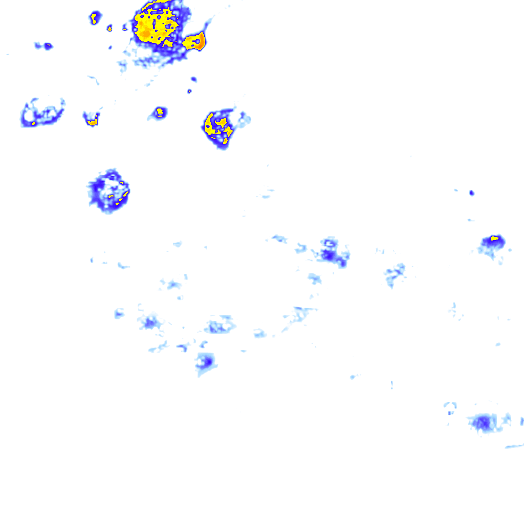 rainLayer