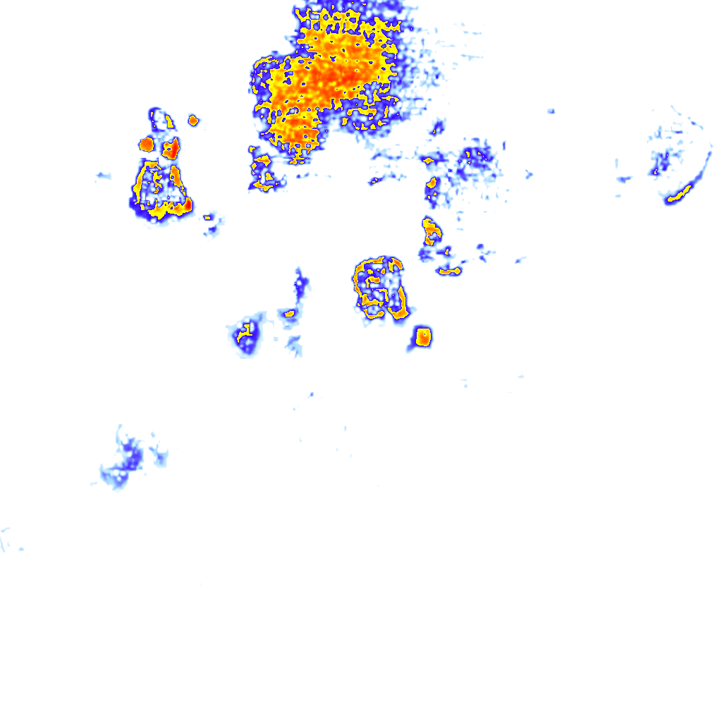 rainLayer