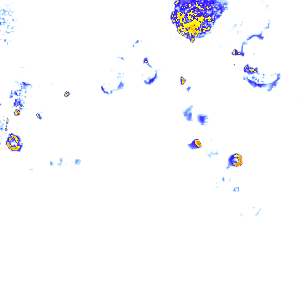 Image Layer