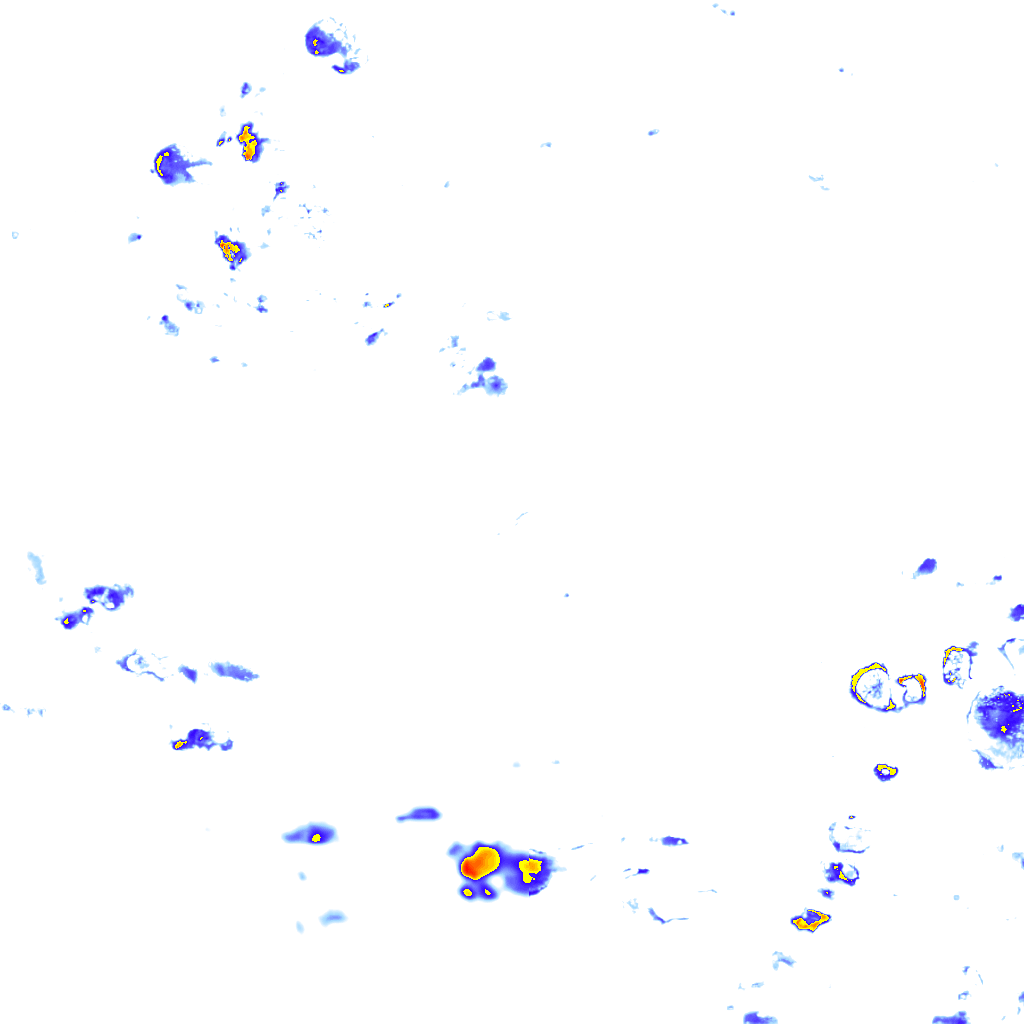 rainLayer