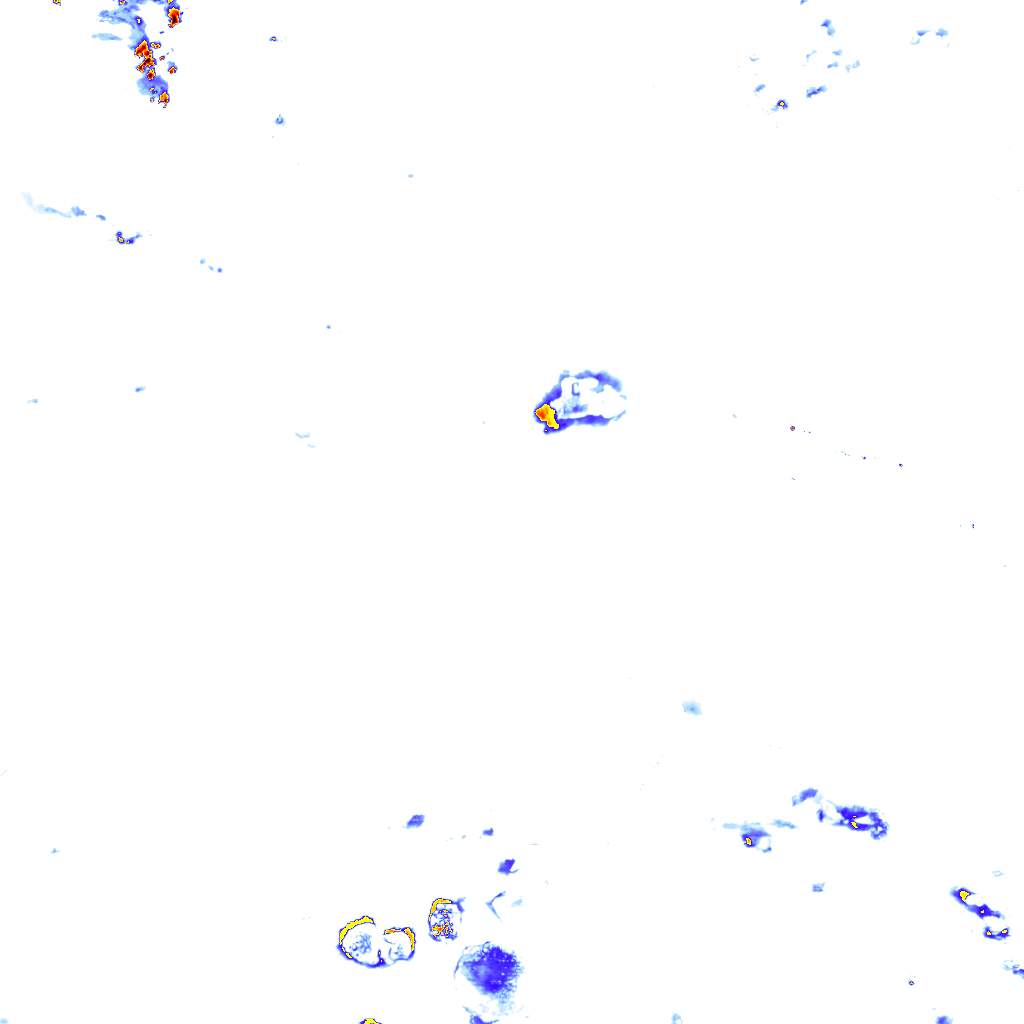 rainLayer