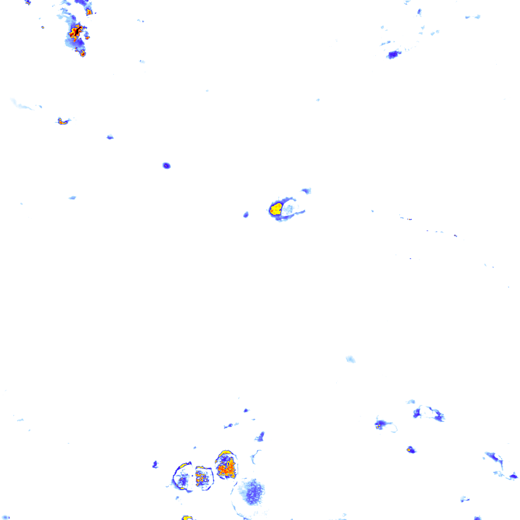rainLayer