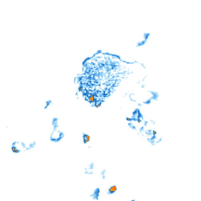 rain layer