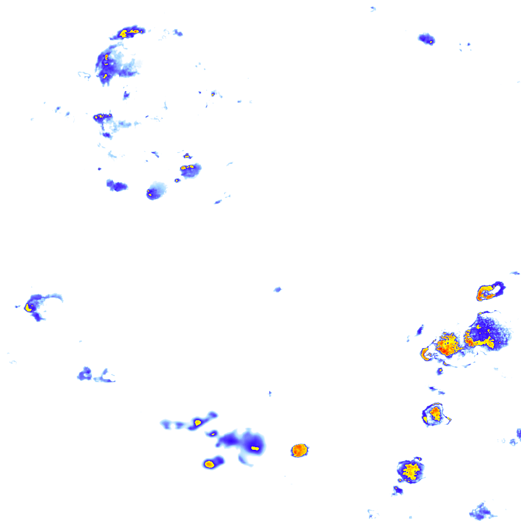 rainLayer