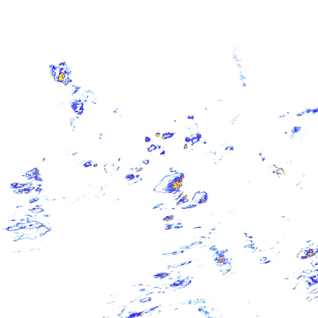 rainLayer