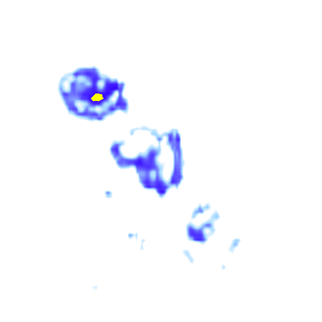 rainLayer