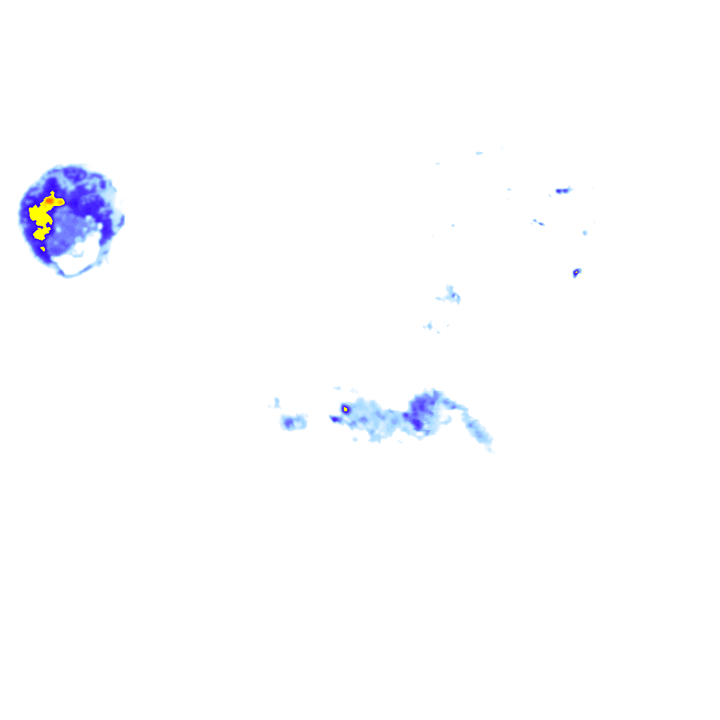 Image Layer
