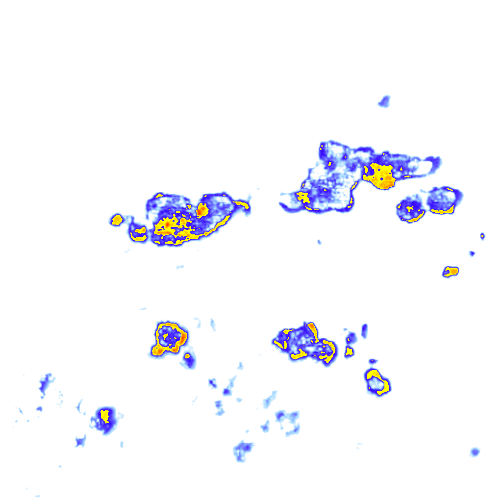 Image Layer