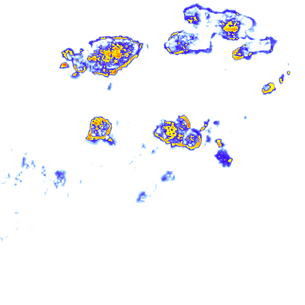 Image Layer