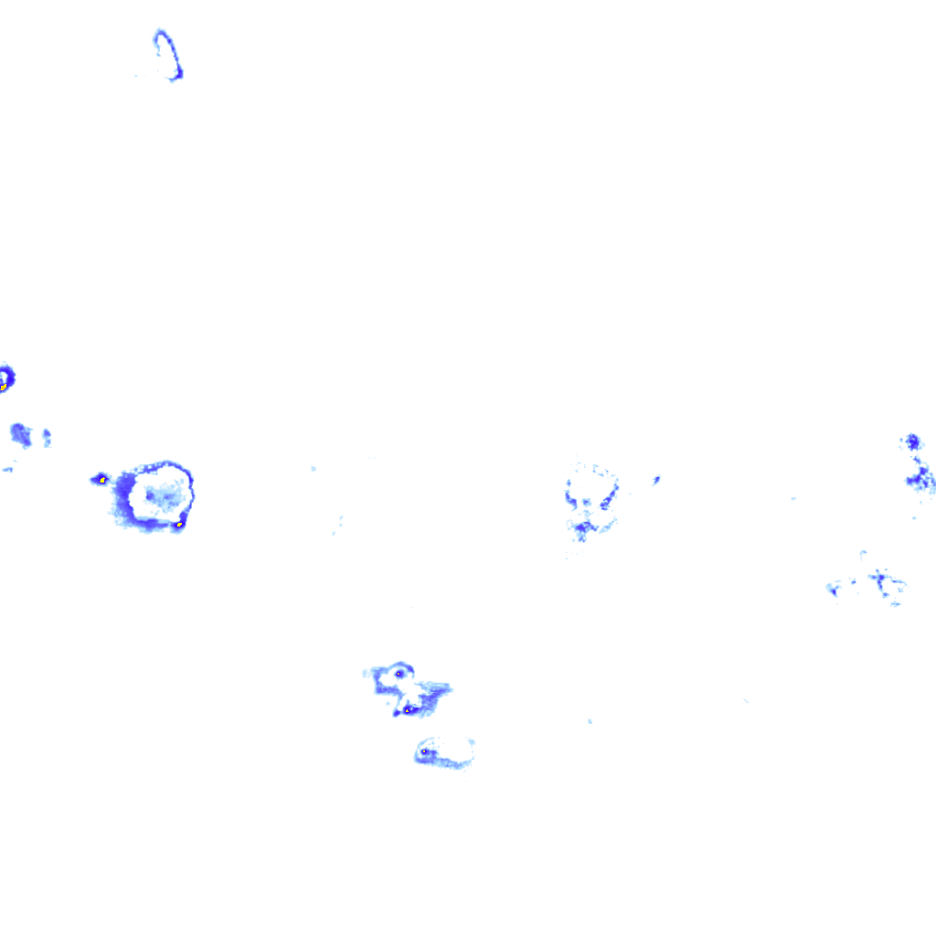 rainLayer