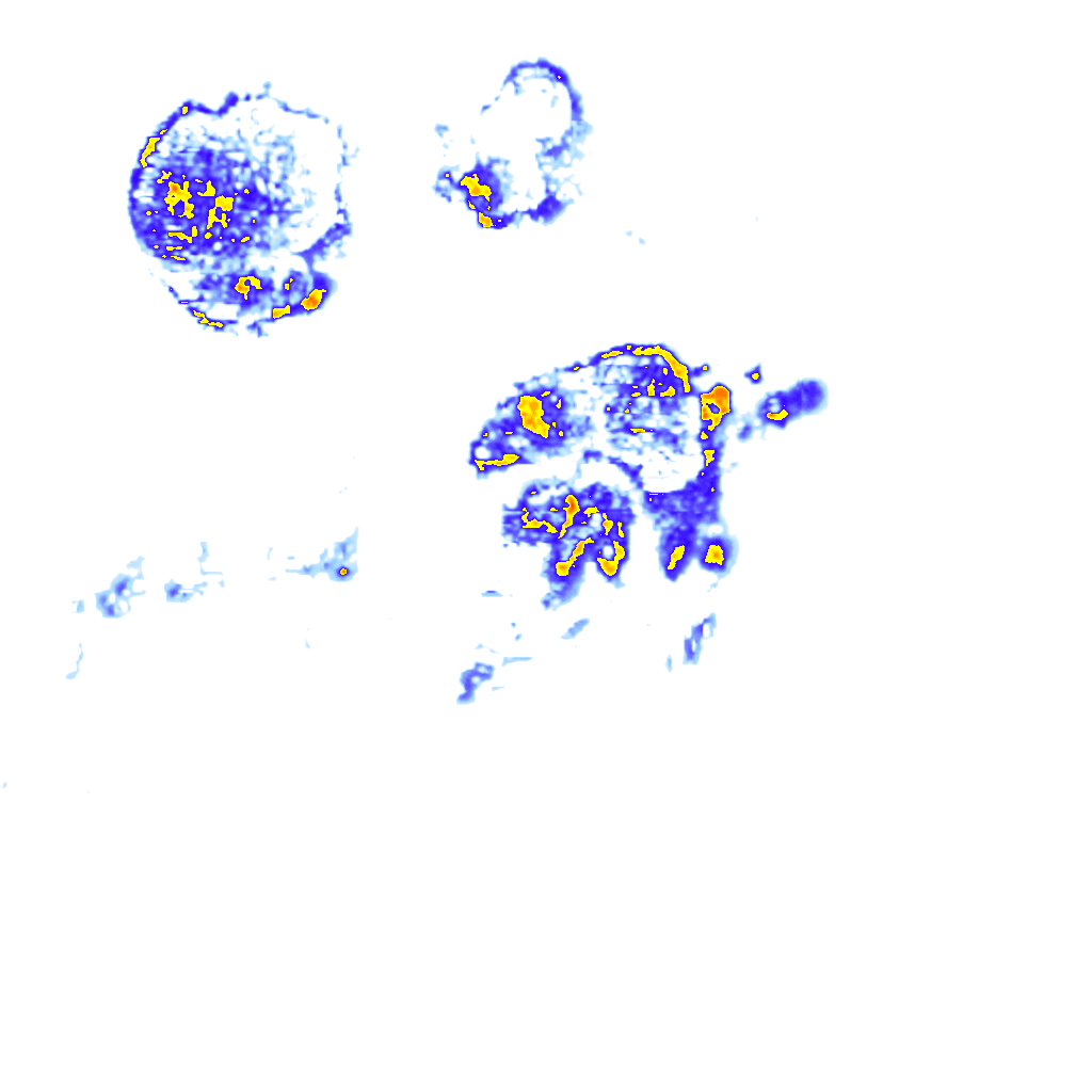 Image Layer