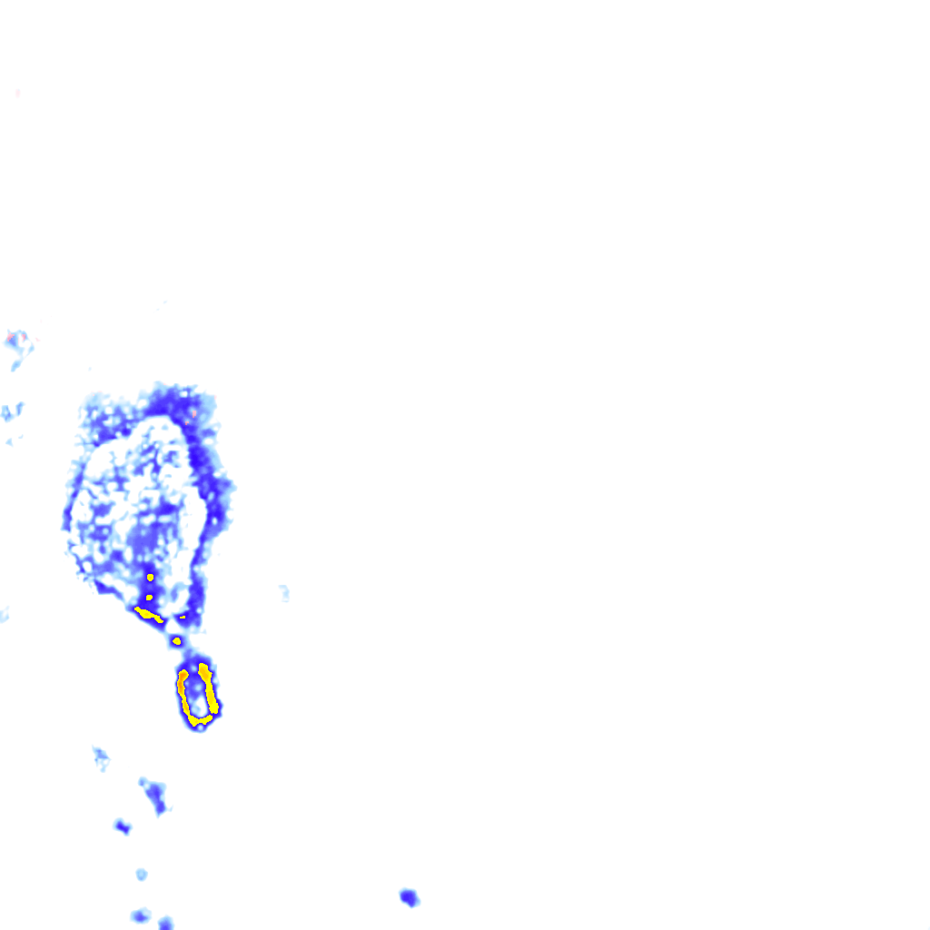 rainLayer