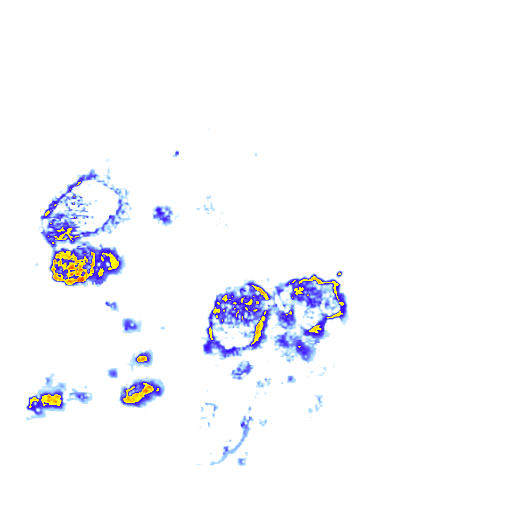 rainLayer