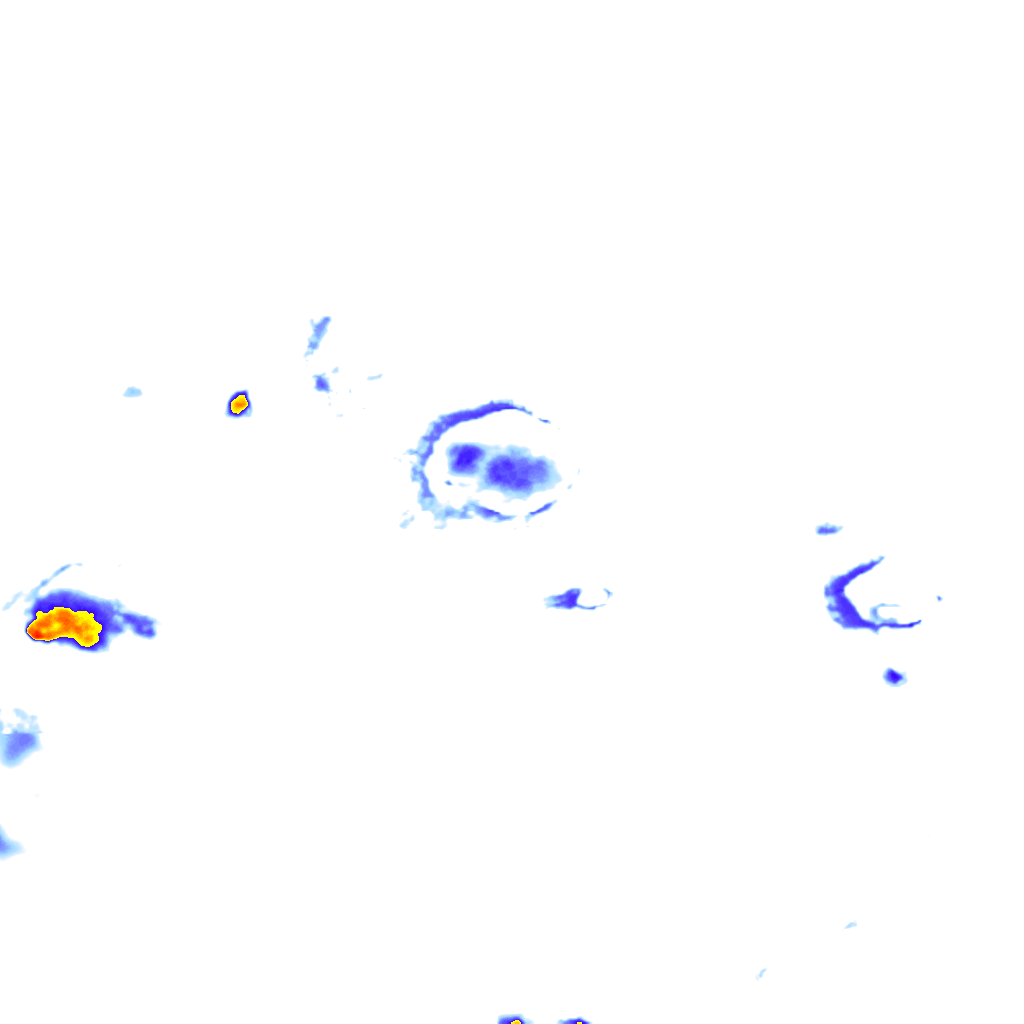 Image Layer