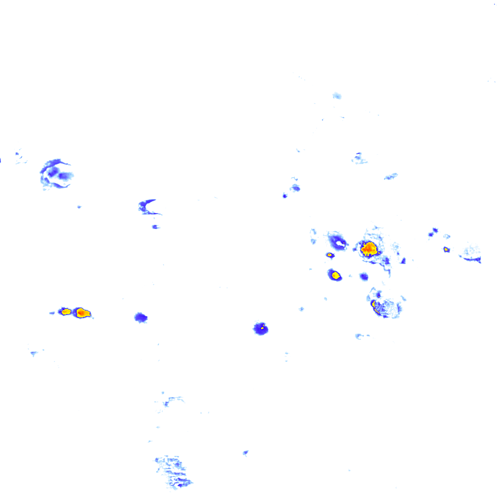 Image Layer