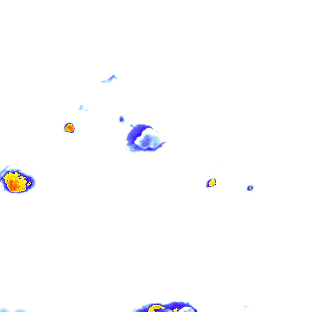 rainLayer