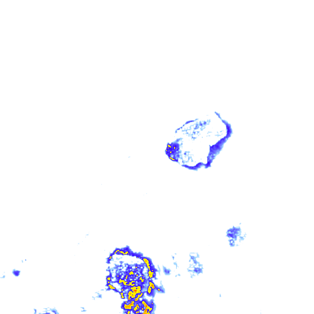 rainLayer