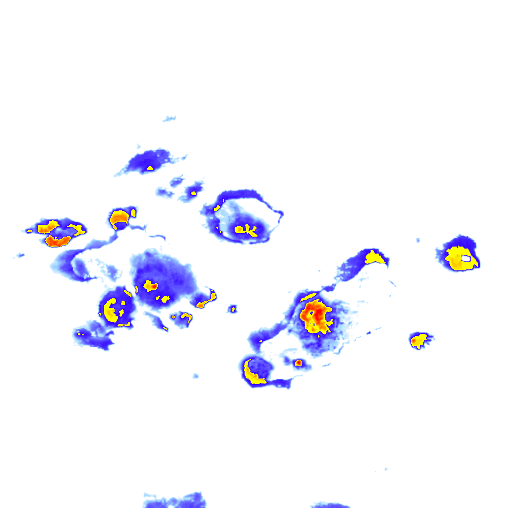 rainLayer