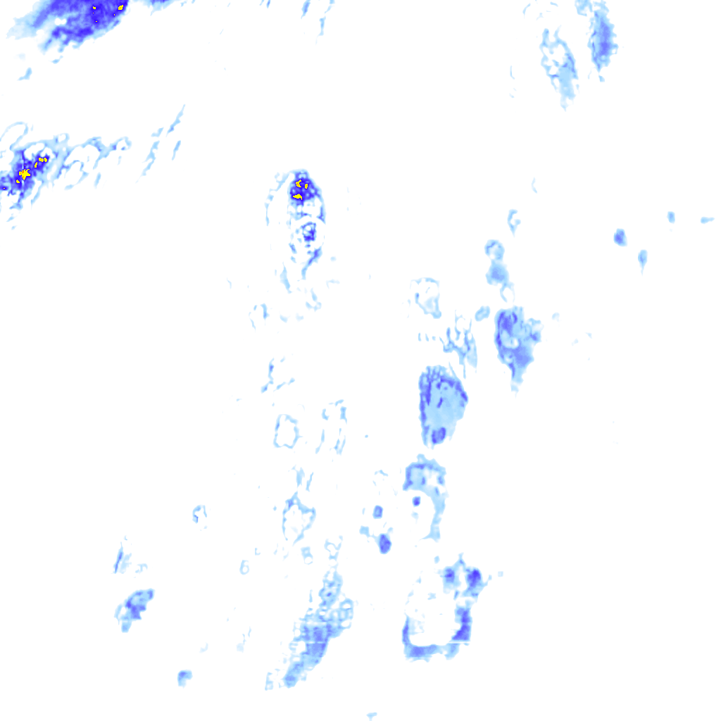 Image Layer