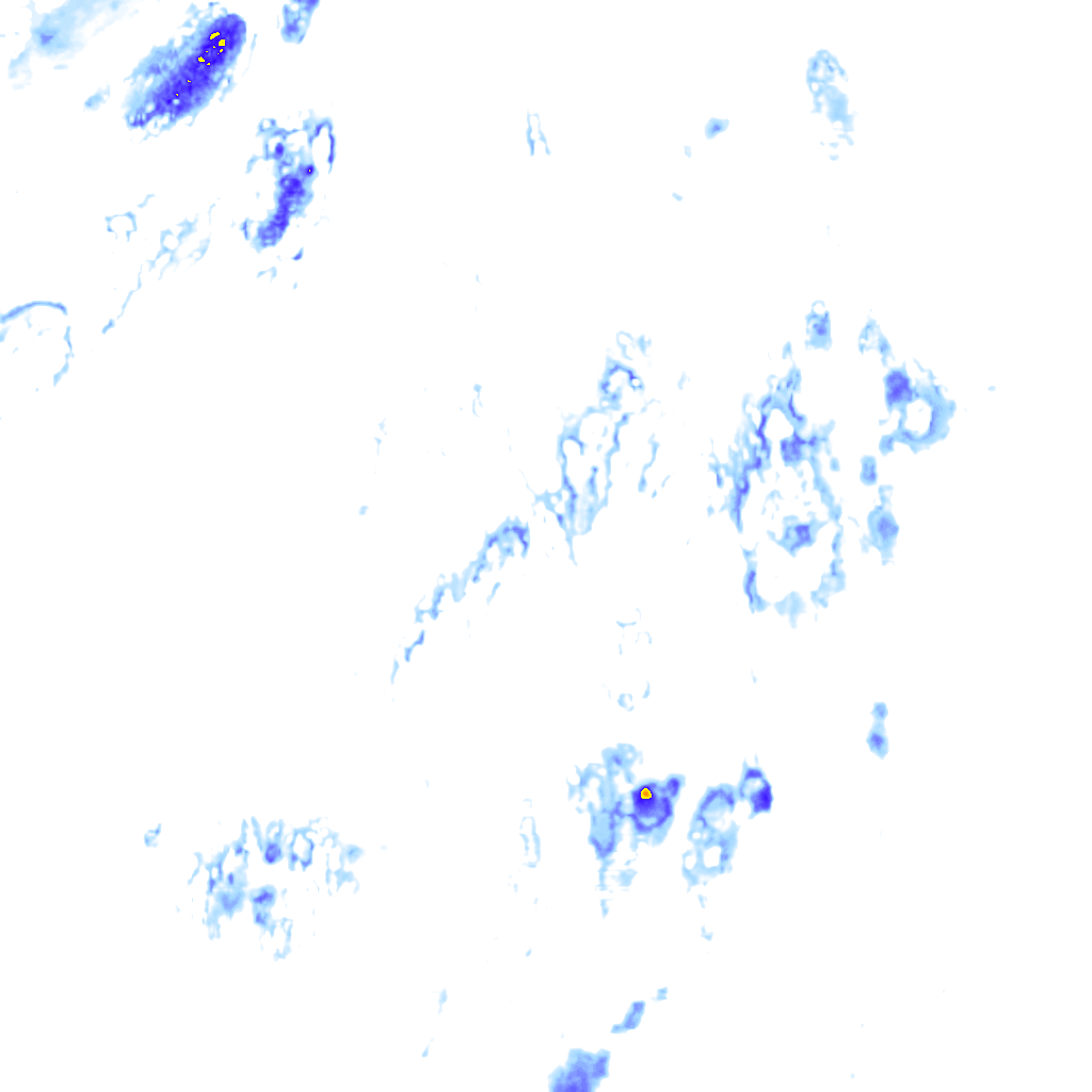 rainLayer
