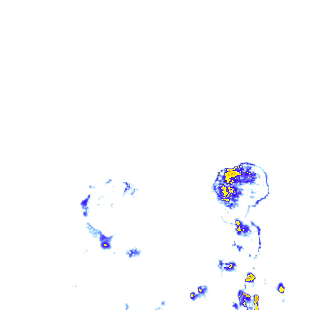 rainLayer