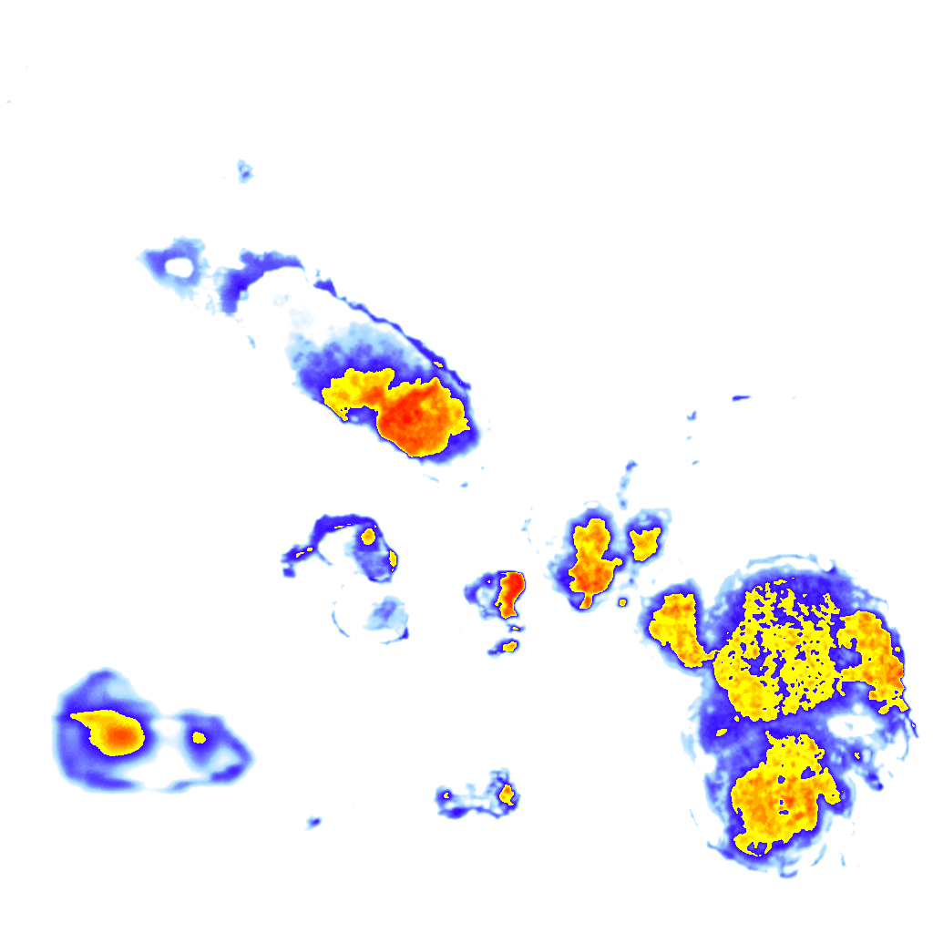 Image Layer