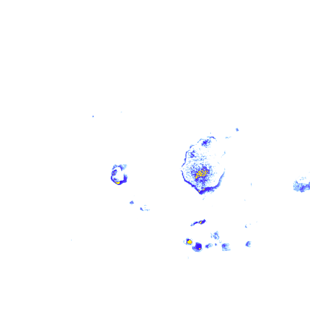 rainLayer