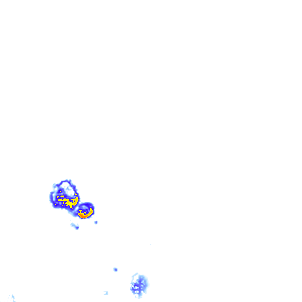 Image Layer