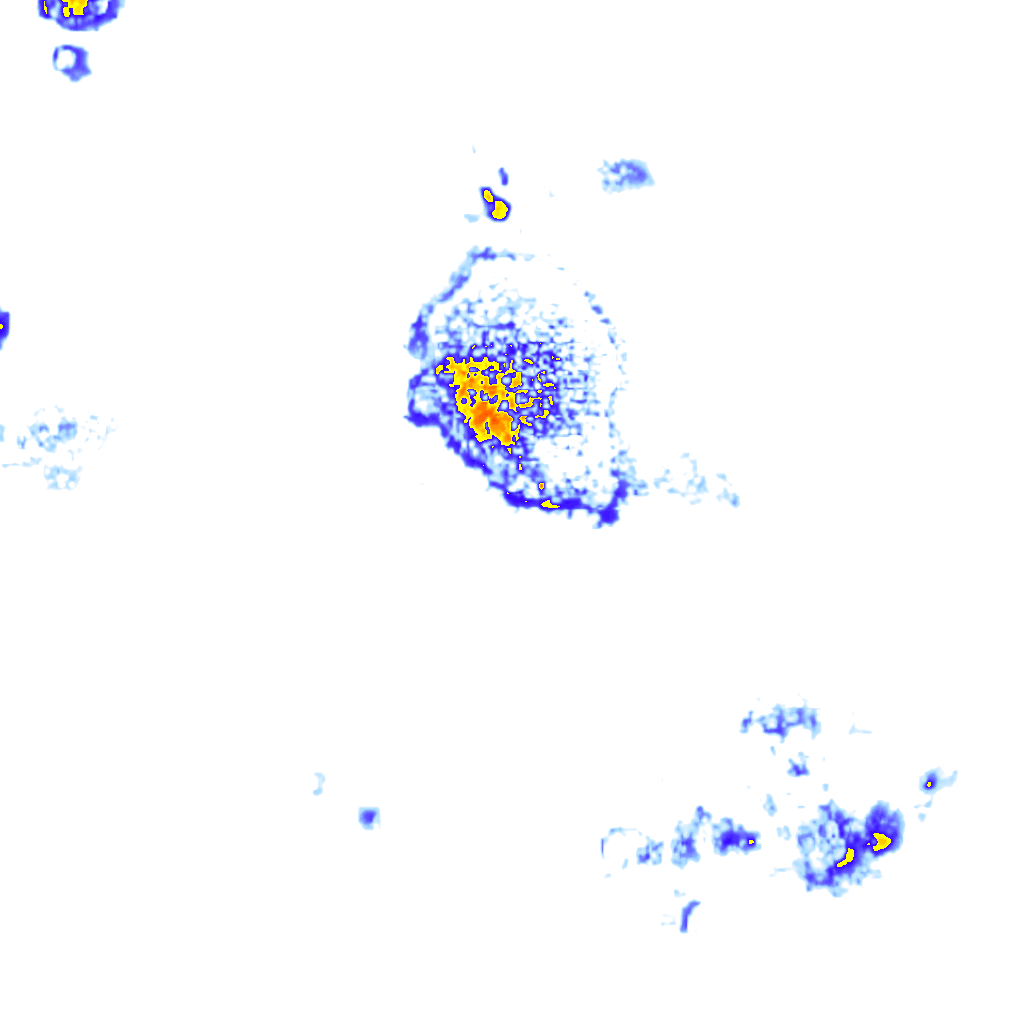 Image Layer