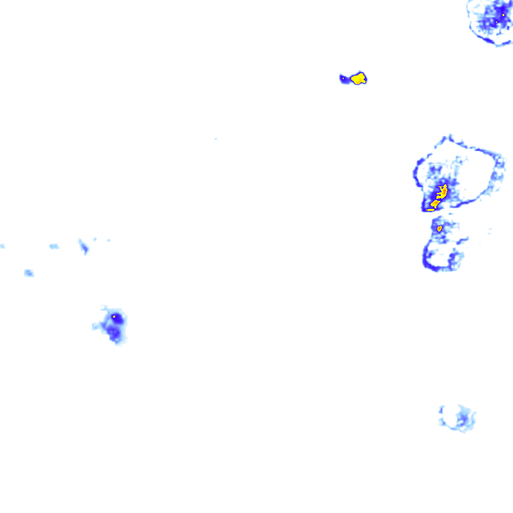 rainLayer