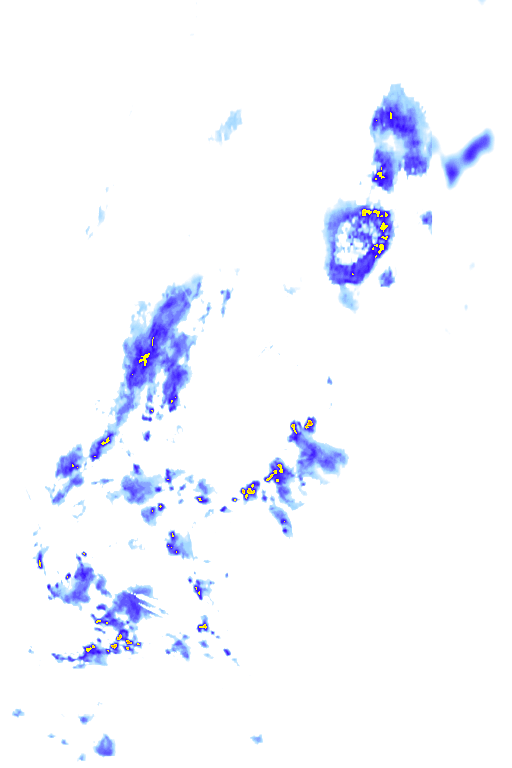 Image Layer