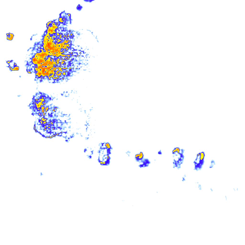 Image Layer