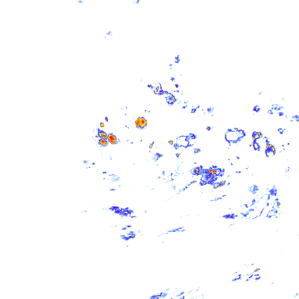 rainLayer