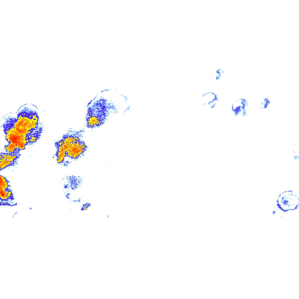 Image Layer
