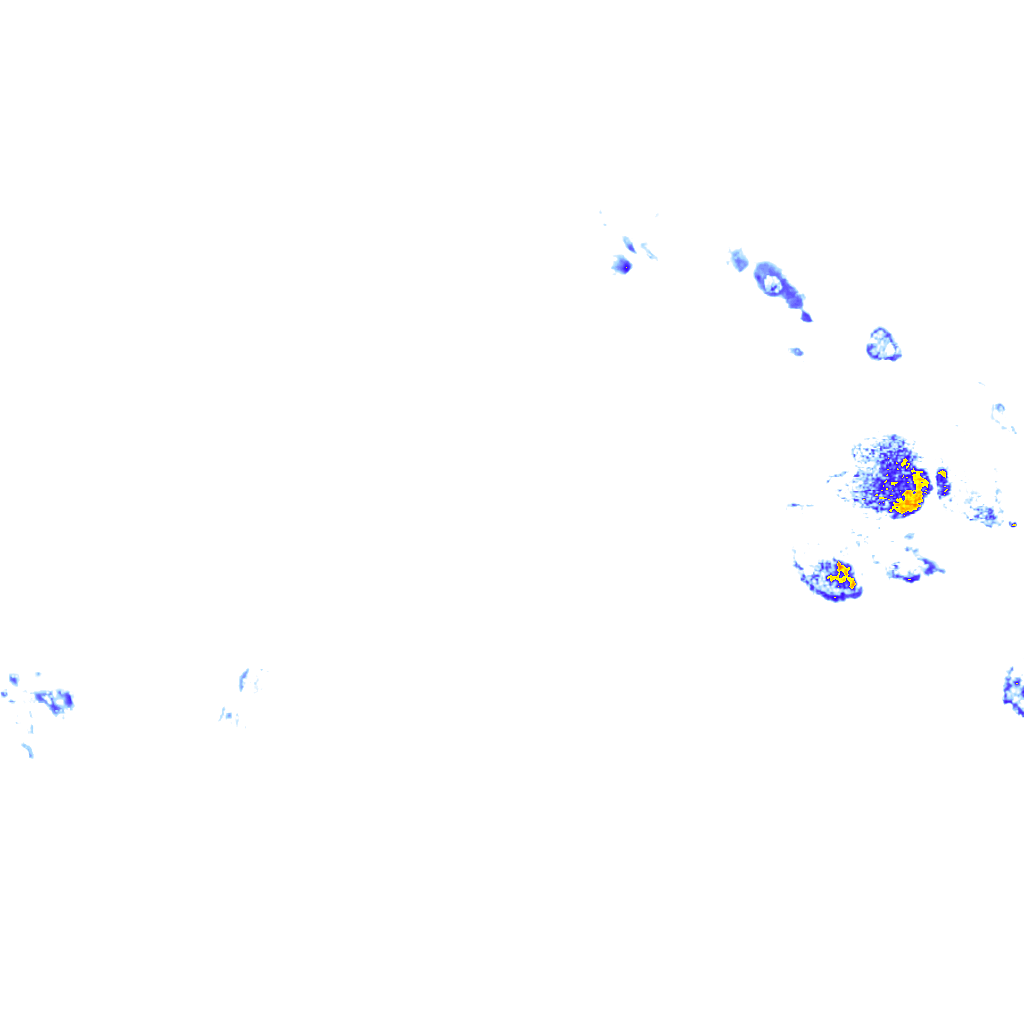 rainLayer
