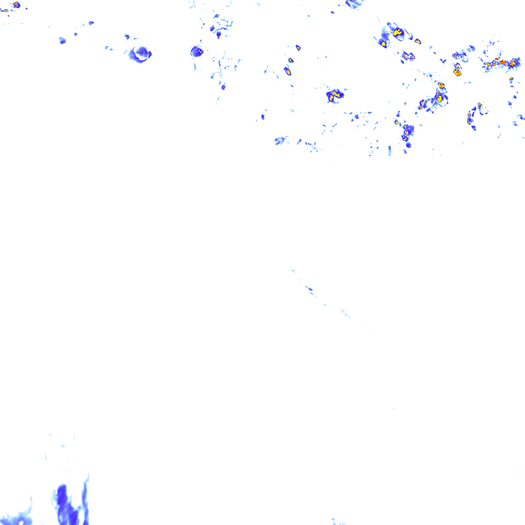 rainLayer