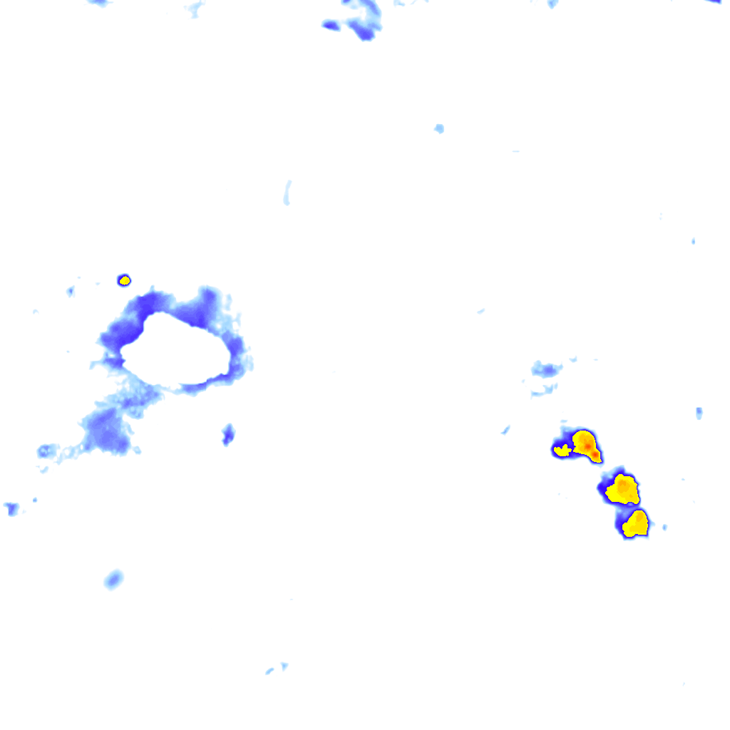 rainLayer