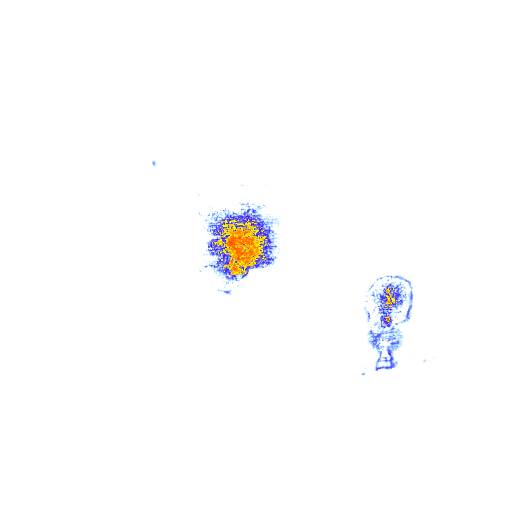 Image Layer