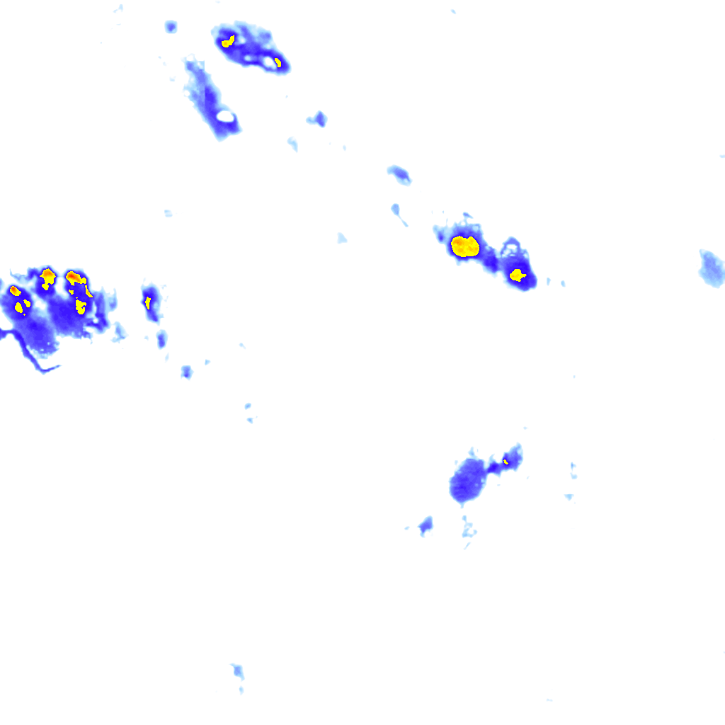 rainLayer