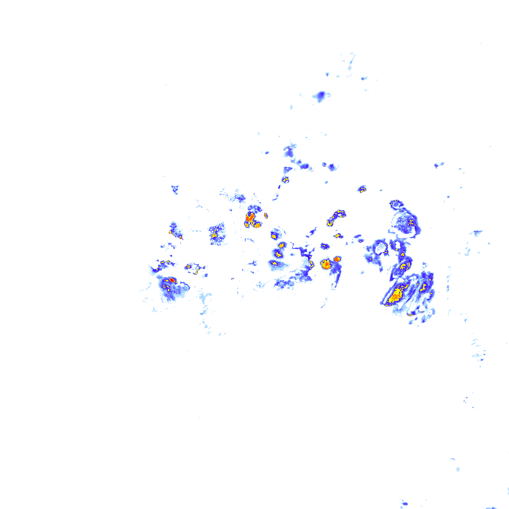 rainLayer