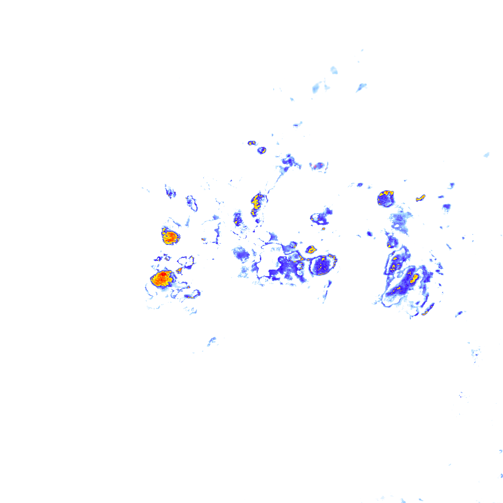 rainLayer